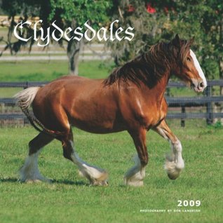 Clydesdales 2009 Square Wall Calendar NOT A BOOK Clydesdales 2009 Square Wall Calendar NOT A BOOK
