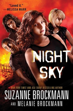 Night Sky (Night Sky, #1)