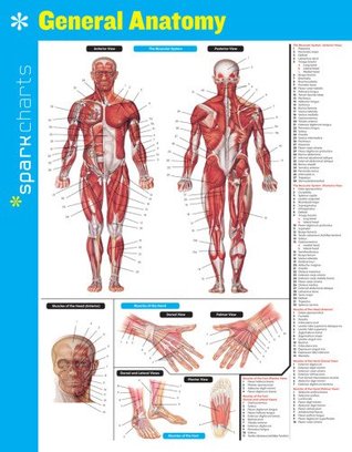 General Anatomy SparkCharts SparkNotes General Anatomy SparkCharts SparkNotes
