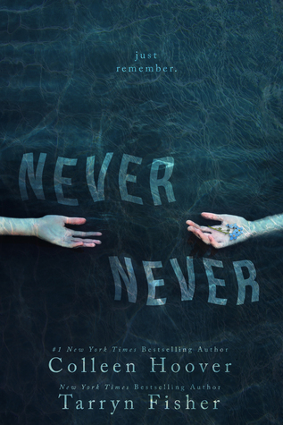 Never Never (Never Never, #1)