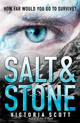 Salt & Stone (Fire & Flood, #2)