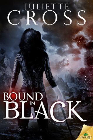 Bound in Black (The Vessel Trilogy, #3)