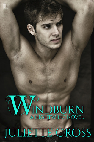 Windburn (Nightwing, #2)