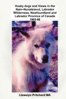 Husky Dogs and Views in the Nain - Nunatsiavut, Labrador Wilderness, Newfoundland and Labrador Province of Canada 1965-66: Cover Photograph: Husky Dog Llewelyn Pritchard Husky Dogs and Views in the Nain - Nunatsiavut, Labrador Wilderness, Newfoundland and Labrador Province of Canada 1965-66: Cover Photograph: Husky Dog Llewelyn Pritchard