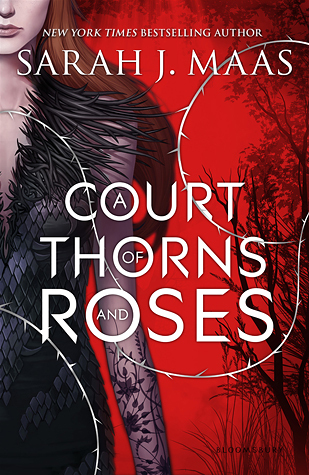 https://www.goodreads.com/book/show/16096824-a-court-of-thorns-and-roses?ac=1