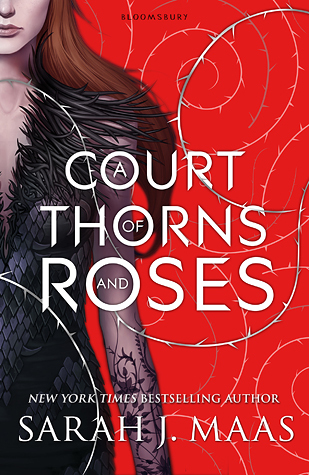 ACOTAR Series Book Review ~ Fantasy but make it Spicy - The Nerdy Gourmet