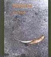 Moléculas Peter Atkins Moléculas Peter Atkins