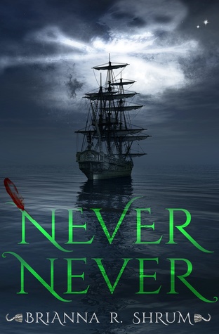 Never Never by Brianna Shrum