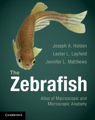 The Zebrafish Joseph Holden The Zebrafish Joseph Holden