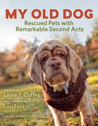 My Old Dog by Laura T. Coffey