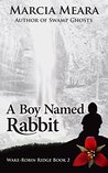 A Boy Named Rabbit: Wake-Robin Ridge Book 2