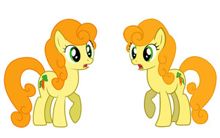 Two Many Carrot Tops Emeral Bookwise Two Many Carrot Tops Emeral Bookwise