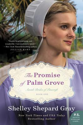 The Promise of Palm Grove (Amish Brides of Pinecraft, #1)