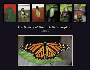 The Mystery of Monarch Metamorphosis Effie Jo The Mystery of Monarch Metamorphosis Effie Jo