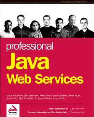 Professional Java Web Service S