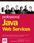 Professional Java Web Service S