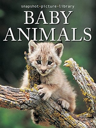 Baby Animals Snapshot Picture Library Baby Animals Snapshot Picture Library