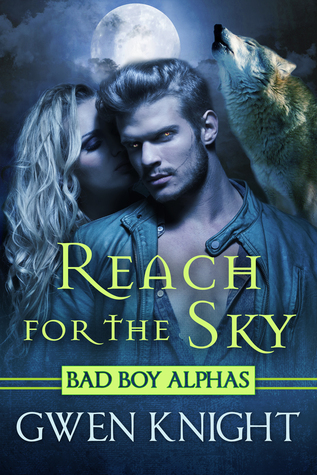 Reach for the Sky (Wolffe Peak, #1)