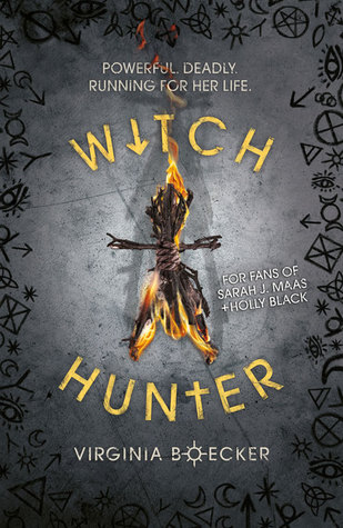 Witch Hunter (The Witch Hunter, #1)