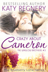 Crazy about Cameron (The Winslow Brothers, #3)