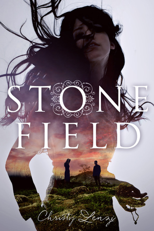 Stone Field: A Novel