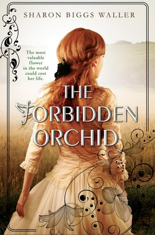 The Forbidden Orchid cover