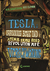 Teslas irrsinnig böse und atemberaubend revolutionäre Verschwörung (The Accelerati Trilogy, #2)