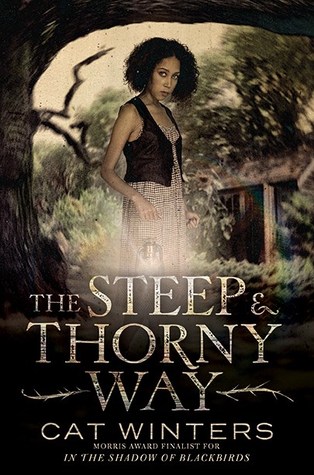 Blog Tour: The Steep and Thorny Way by Cat Winters | Review + Giveaway