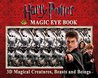 Harry Potter Magic Eye Book: 3D Magical Creatures, Beasts and Beings