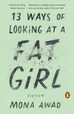 13 Ways of Looking at a Fat Girl