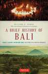 A Brief History Of Bali: Piracy, Slavery, Opium and Guns: The Story of a Pacific Paradise