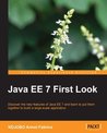 Java EE 7 First Look Java EE 7 First Look