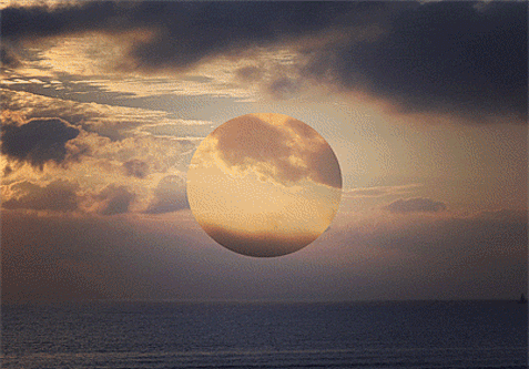 8697165.gif