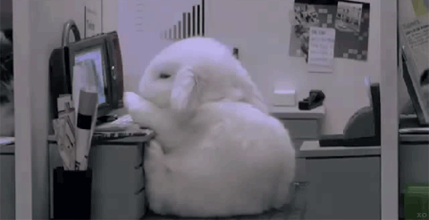 8718506.gif