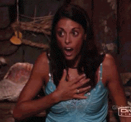 10520033.gif