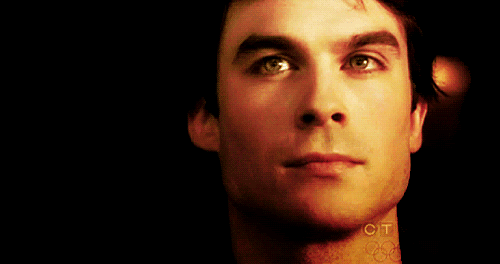13825983.gif
