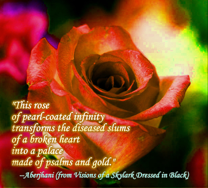 ... coated infinity transforms the diseased slums of a broken heart into a