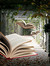 Literati Book Reviews