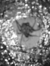 Science Questions and Answers Anita Ganeri Science Questions and Answers Anita Ganeri