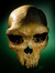 PaleoAnthropology+